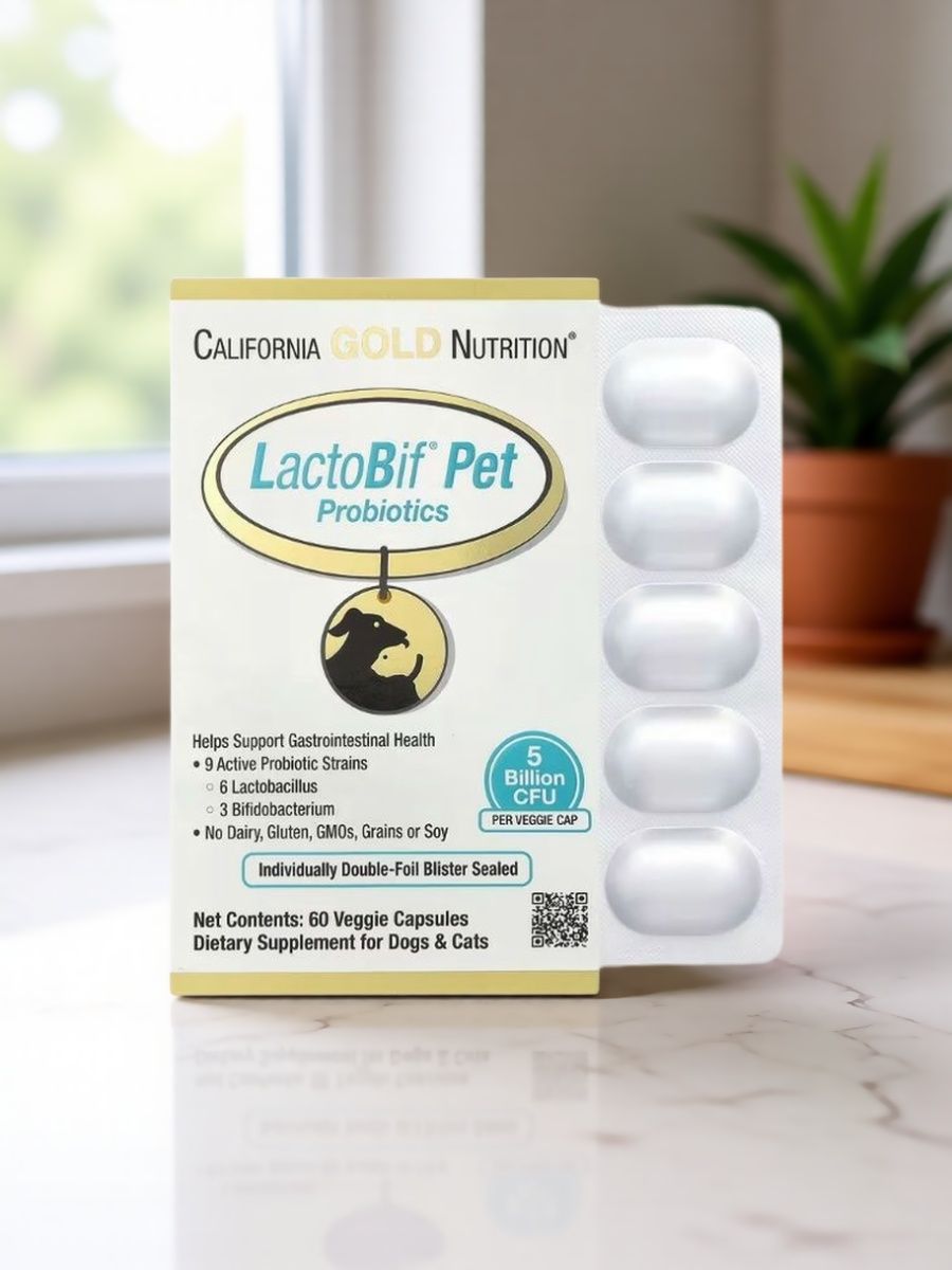 LactoBif пробиотики для домашних животных, 60 растительных капсул California Gold Nutrition