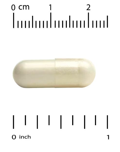 California Gold Nutrition, Akkermansia GLP-1 Complex, комплекс с аккермансией и ГПП-1 + пробиотики, 60 растительных капсул — изображение 3